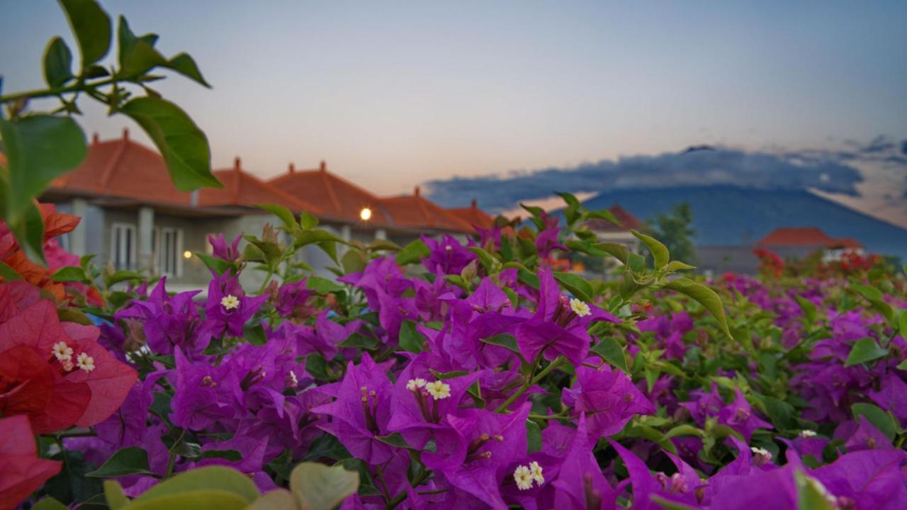 Seamount Hotel Amed Buitenkant foto